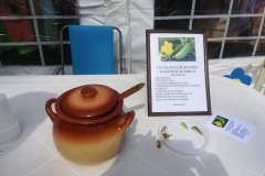 67308328_853719048338337_5007215685634359296_n