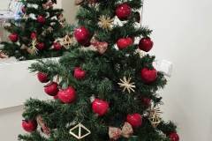 316604533_540158230982901_1860752346444592300_n