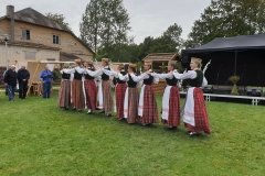 70223814_377560366465305_27166634514841600_n