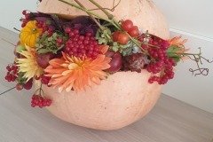 461486186_1342364010510202_2675410351599852929_n