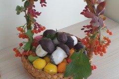 461637495_1342364227176847_3320315426318782888_n