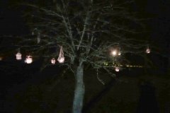 315014208_801113364329536_5861650903326153633_n