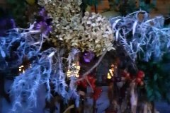 315273869_1011437613582766_4484890389656955615_n