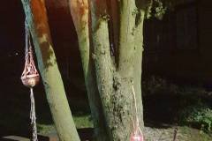 466468724_1378240943589175_3193538020864754672_n