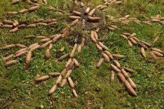 466912426_1378241536922449_1416467869945296903_n