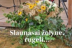 20210723_195140-–-kopija-–-kopija