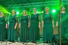 20220702_205007-–-kopija