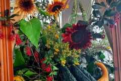 383033082_164393473385294_5680929903132640087_n