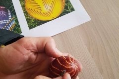 56920238_2258543954415025_8669804740139286528_n