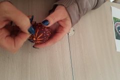 57277919_2258543917748362_3920079202962898944_n