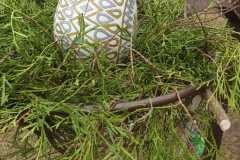 434178798_1203980947681843_1674320261424800196_n